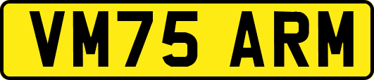 VM75ARM