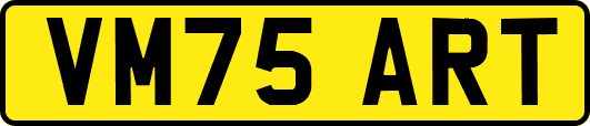 VM75ART