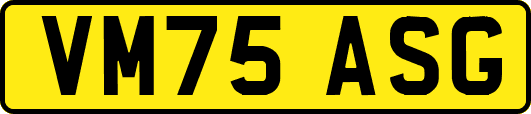VM75ASG