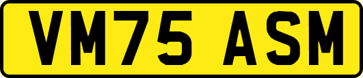VM75ASM