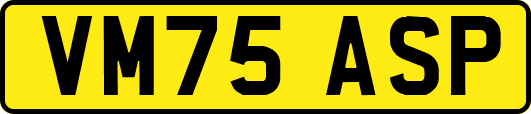 VM75ASP