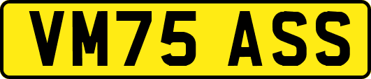 VM75ASS