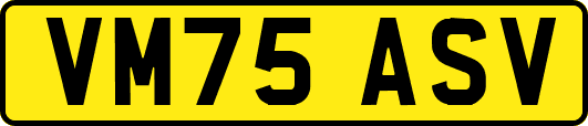 VM75ASV