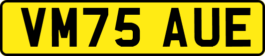 VM75AUE