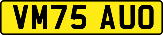 VM75AUO