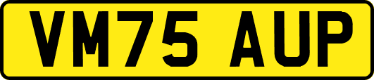VM75AUP