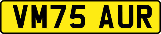 VM75AUR