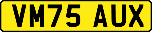 VM75AUX