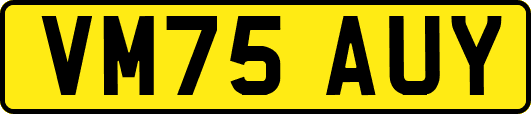 VM75AUY