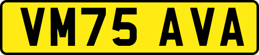 VM75AVA