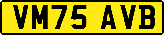 VM75AVB