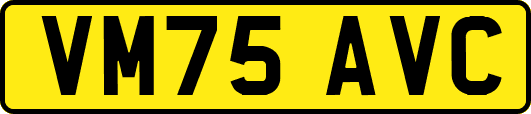 VM75AVC