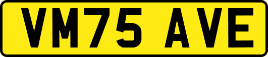 VM75AVE