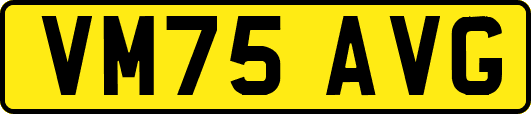 VM75AVG