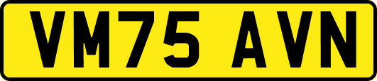 VM75AVN