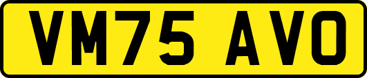 VM75AVO