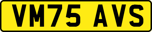 VM75AVS