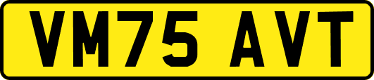 VM75AVT