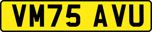 VM75AVU