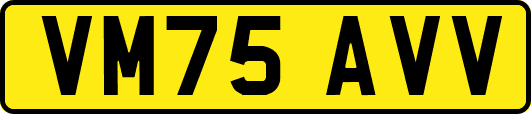VM75AVV