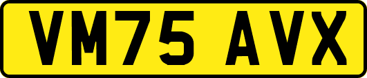 VM75AVX