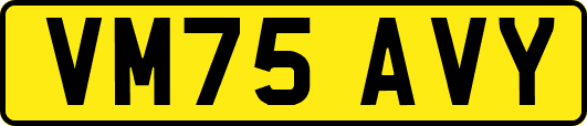 VM75AVY