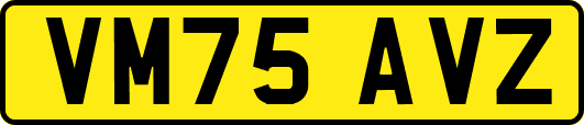 VM75AVZ