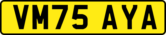 VM75AYA