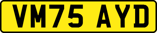 VM75AYD