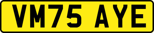 VM75AYE