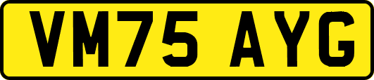 VM75AYG