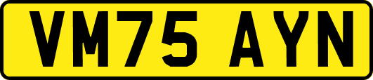 VM75AYN