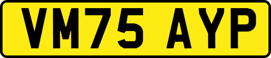VM75AYP