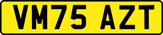 VM75AZT