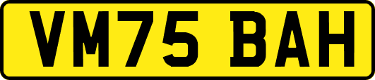 VM75BAH