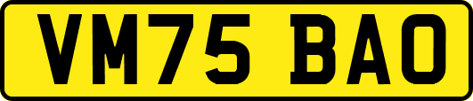 VM75BAO