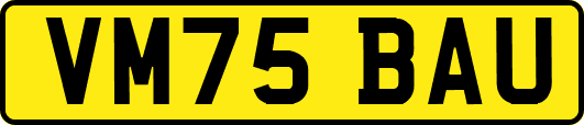 VM75BAU