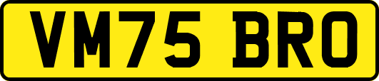 VM75BRO