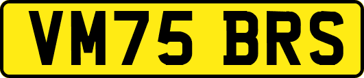VM75BRS