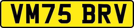 VM75BRV
