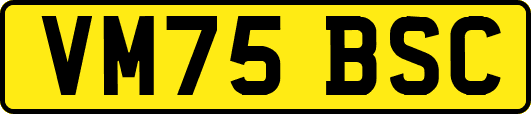 VM75BSC