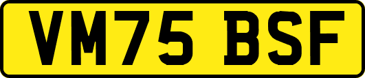 VM75BSF