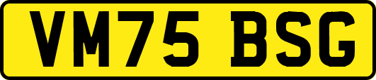 VM75BSG