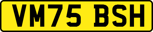 VM75BSH
