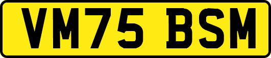 VM75BSM