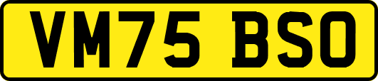VM75BSO