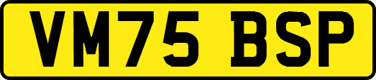 VM75BSP
