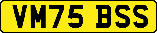 VM75BSS