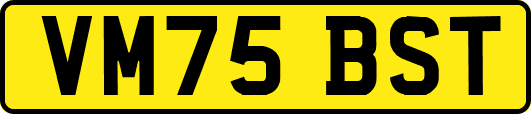VM75BST