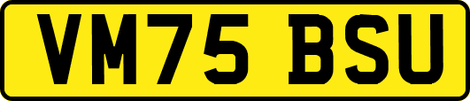 VM75BSU